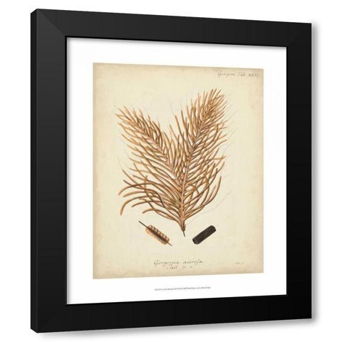 Coral Collection III Black Modern Wood Framed Art Print by Esper, Johann