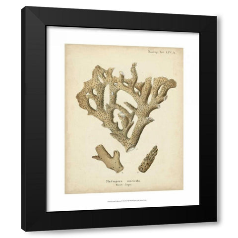 Coral Collection IV Black Modern Wood Framed Art Print by Esper, Johann