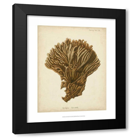 Coral Collection VI Black Modern Wood Framed Art Print by Esper, Johann