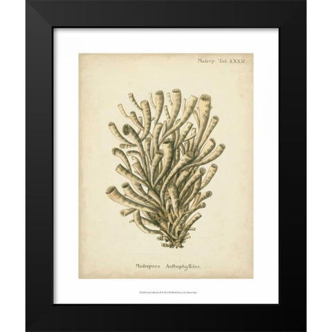 Coral Collection IX Black Modern Wood Framed Art Print by Esper, Johann