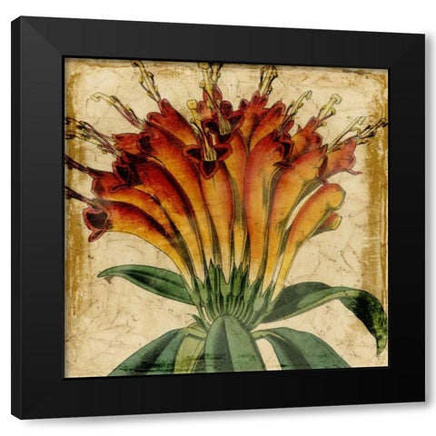 Vibrant Floral IV Black Modern Wood Framed Art Print by Vision Studio