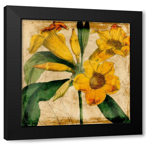 Vibrant Floral V Black Modern Wood Framed Art Print with Double Matting by Vision Studio
