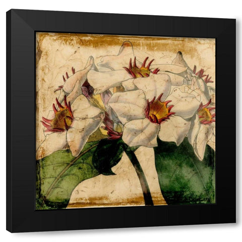 Vibrant Floral VI Black Modern Wood Framed Art Print with Double Matting by Vision Studio