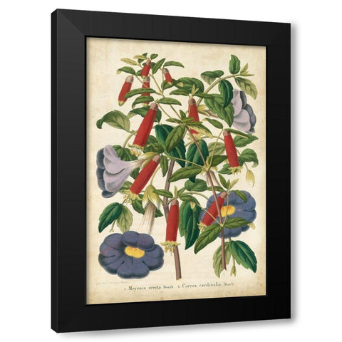 Summer Medley I Black Modern Wood Framed Art Print with Double Matting by Severeyns