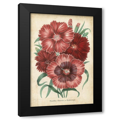 Summer Medley II Black Modern Wood Framed Art Print with Double Matting by Severeyns