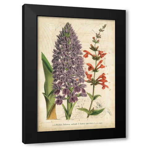 Summer Medley III Black Modern Wood Framed Art Print with Double Matting by Severeyns