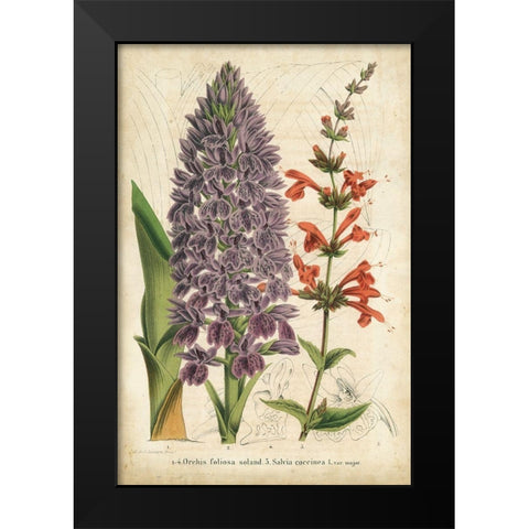 Summer Medley III Black Modern Wood Framed Art Print by Severeyns