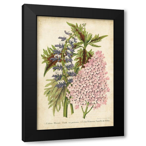 Summer Medley IV Black Modern Wood Framed Art Print by Severeyns