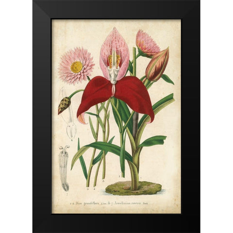 Summer Medley V Black Modern Wood Framed Art Print by Severeyns