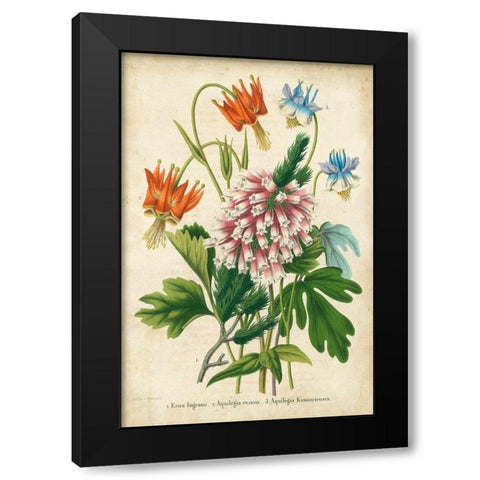Summer Medley VI Black Modern Wood Framed Art Print with Double Matting by Severeyns