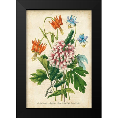 Summer Medley VI Black Modern Wood Framed Art Print by Severeyns