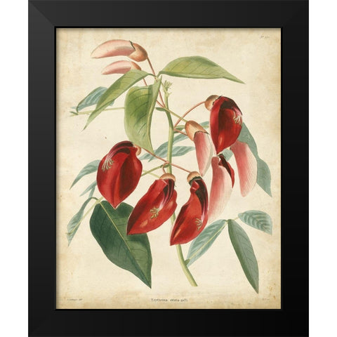 Tropical Floral I Black Modern Wood Framed Art Print by Edmonston and Douglas