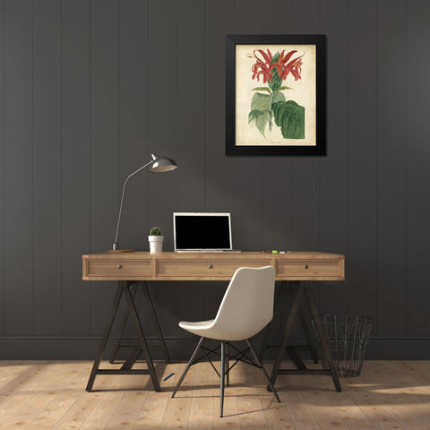 Tropical Floral V Black Modern Wood Framed Art Print by Edmonston and Douglas