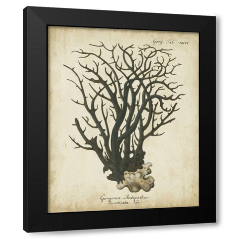 Esper Antique Coral I Black Modern Wood Framed Art Print by Esper, Johann