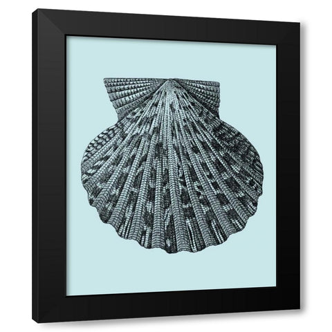 Shells on Aqua III Black Modern Wood Framed Art Print by Vision Studio