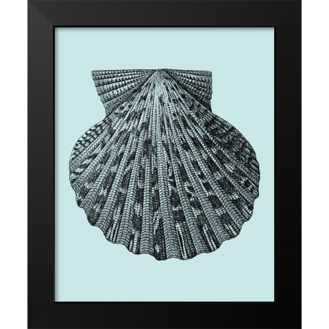 Shells on Aqua III Black Modern Wood Framed Art Print by Vision Studio