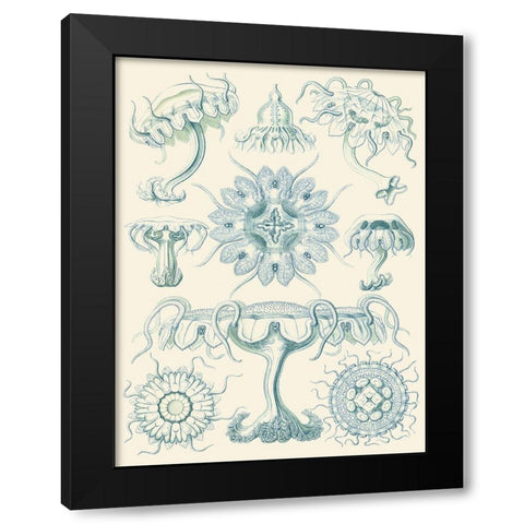 Sophisticated Sealife III Black Modern Wood Framed Art Print by Haeckel, Ernst