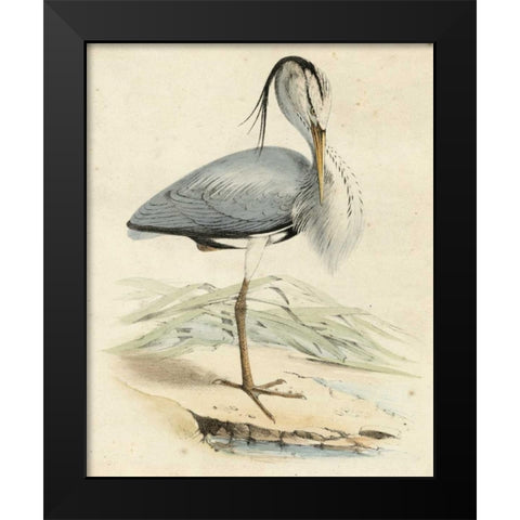 Antique Heron IV Black Modern Wood Framed Art Print by Unknown