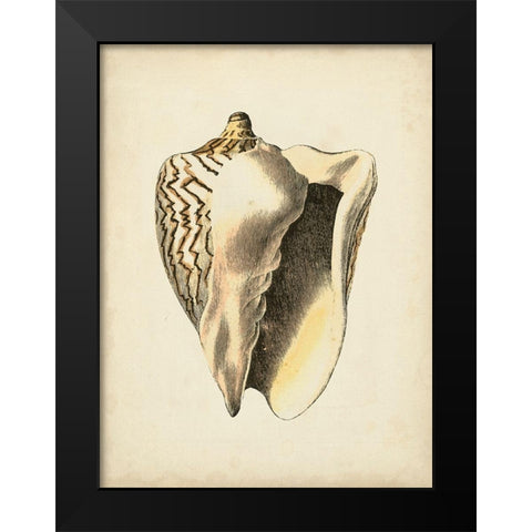 Sealife Collection I Black Modern Wood Framed Art Print by Vision Studio