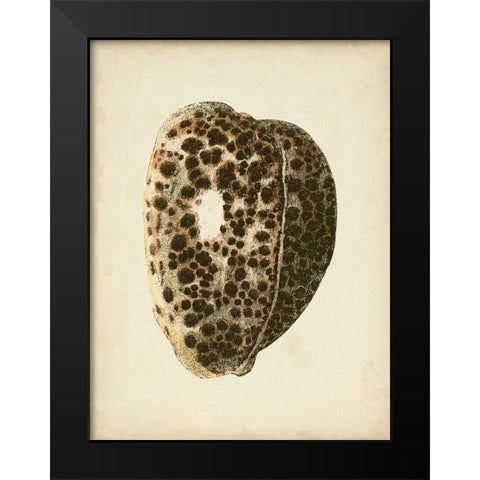 Sealife Collection III Black Modern Wood Framed Art Print by Vision Studio
