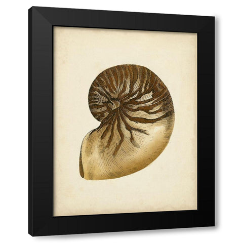 Sealife Collection V Black Modern Wood Framed Art Print with Double Matting by Vision Studio