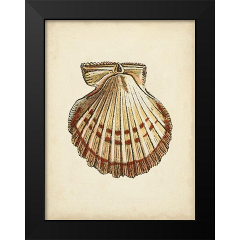 Sealife Collection VII Black Modern Wood Framed Art Print by Vision Studio