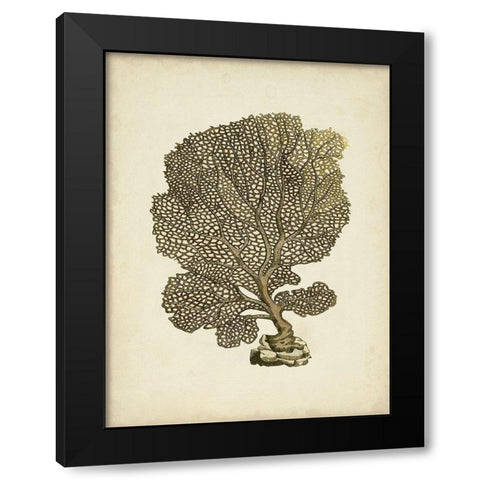Sealife Collection VIII Black Modern Wood Framed Art Print by Vision Studio