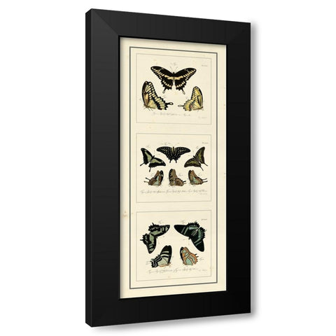 Antique Butterfly Panel II Black Modern Wood Framed Art Print by Jablonsk
