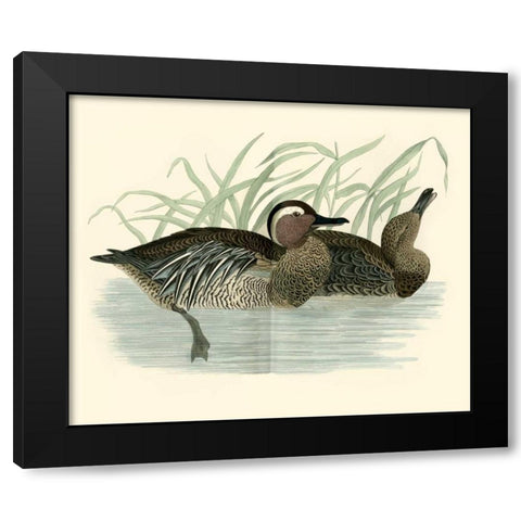 Morris Ducks II Black Modern Wood Framed Art Print by Morris