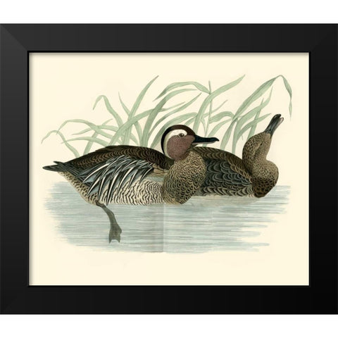 Morris Ducks II Black Modern Wood Framed Art Print by Morris