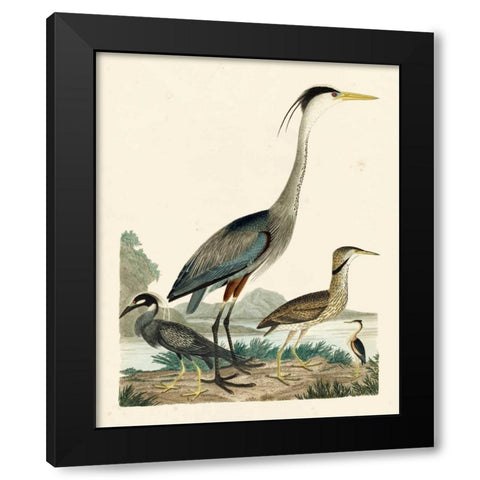 Heron Family I Black Modern Wood Framed Art Print with Double Matting by Wilson, A.