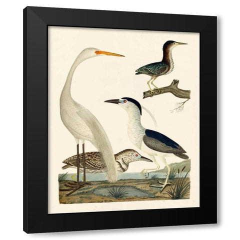 Heron Family II Black Modern Wood Framed Art Print with Double Matting by Wilson, A.