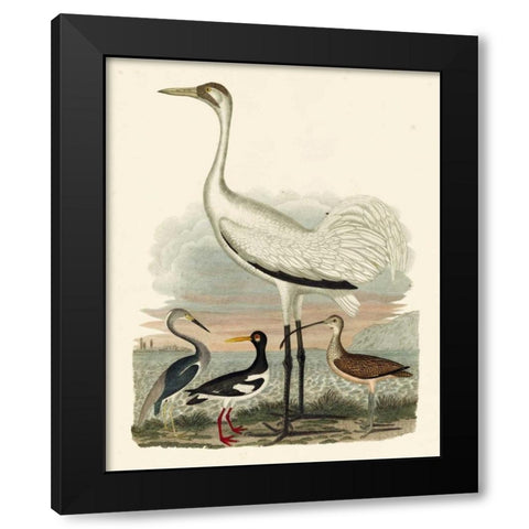 Heron Family III Black Modern Wood Framed Art Print with Double Matting by Wilson, A.