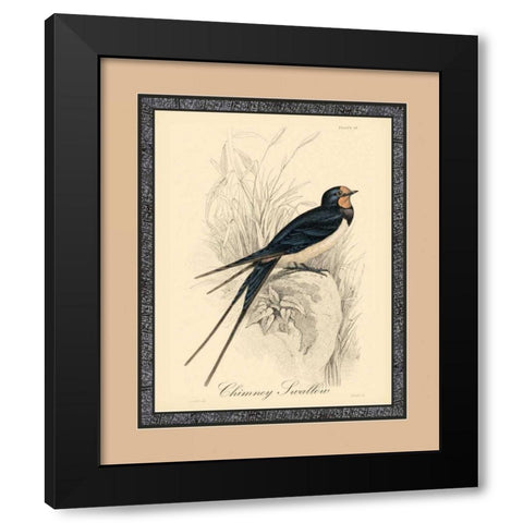 Printed Chimney Swallow Black Modern Wood Framed Art Print with Double Matting by Apogee Art Services