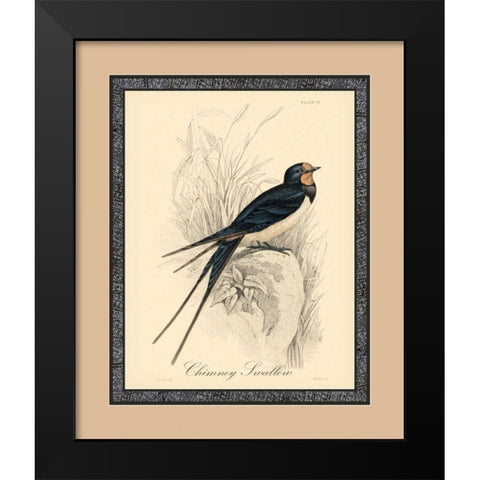 Printed Chimney Swallow Black Modern Wood Framed Art Print by Apogee Art Services