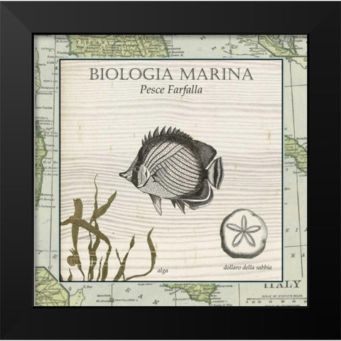 Biologia Marina I Black Modern Wood Framed Art Print by Vision Studio