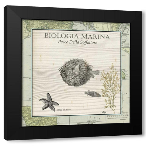 Biologia Marina II Black Modern Wood Framed Art Print by Vision Studio