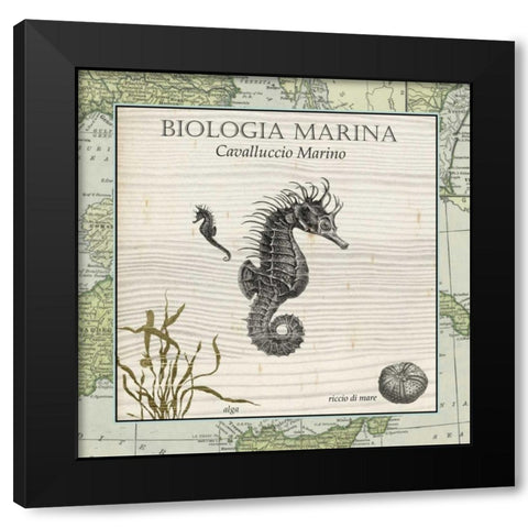 Biologia Marina III Black Modern Wood Framed Art Print by Vision Studio