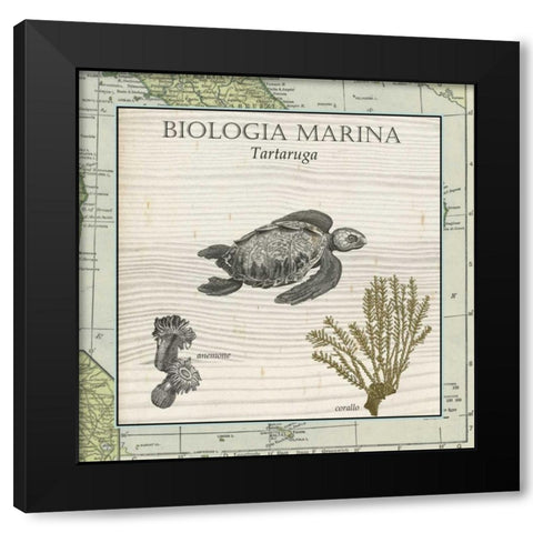 Biologia Marina IV Black Modern Wood Framed Art Print by Vision Studio
