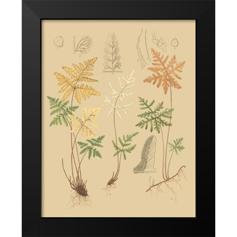 Natures Lace I Black Modern Wood Framed Art Print by Faxon, C.E.