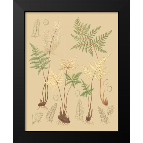 Natures Lace II Black Modern Wood Framed Art Print by Faxon, C.E.