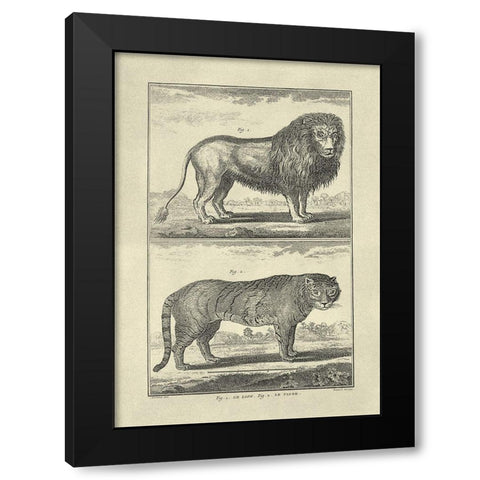 Lion and Tiger Black Modern Wood Framed Art Print by Diderot, Denis