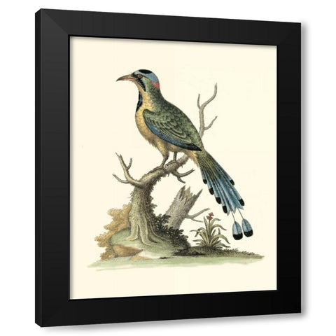 Poised in Nature II Black Modern Wood Framed Art Print by Edwards, George