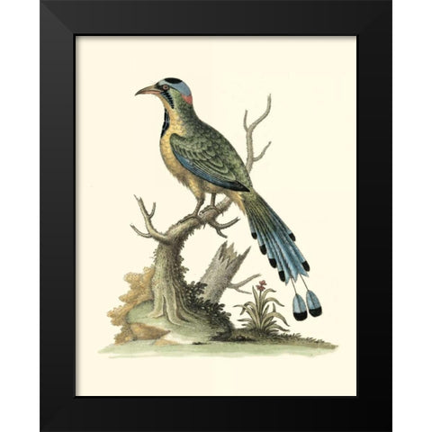 Poised in Nature II Black Modern Wood Framed Art Print by Edwards, George