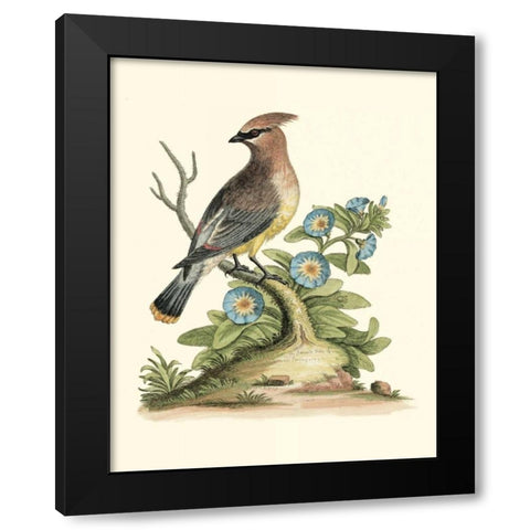 Poised in Nature III Black Modern Wood Framed Art Print by Edwards, George