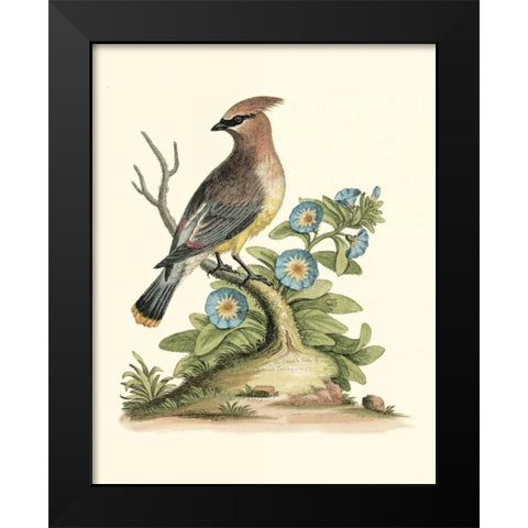 Poised in Nature III Black Modern Wood Framed Art Print by Edwards, George