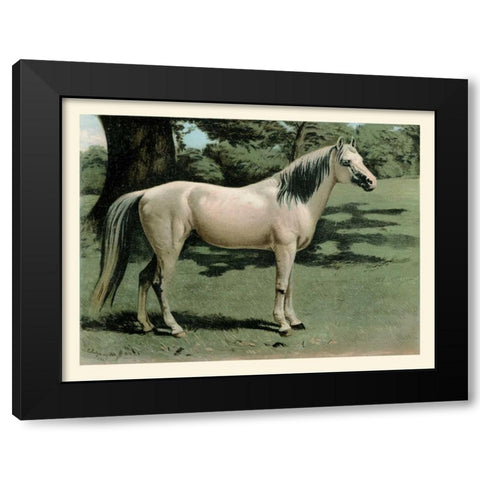 Cassells Horse I Black Modern Wood Framed Art Print with Double Matting by Cassel