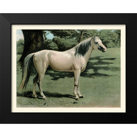 Cassells Horse I Black Modern Wood Framed Art Print by Cassel
