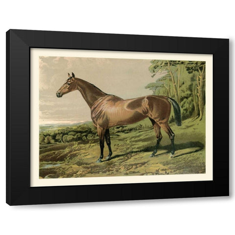 Cassells Horse IV Black Modern Wood Framed Art Print by Cassel