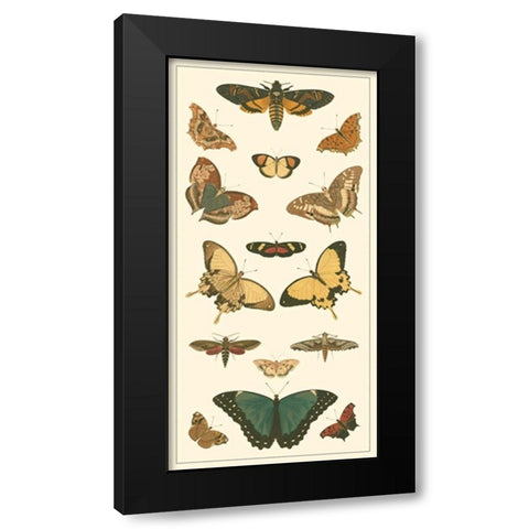 Cramer Butterfly Panel I  Black Modern Wood Framed Art Print with Double Matting by Pieter, Cramer